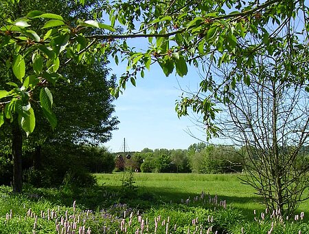 Im Kurpark Treuchtlingen