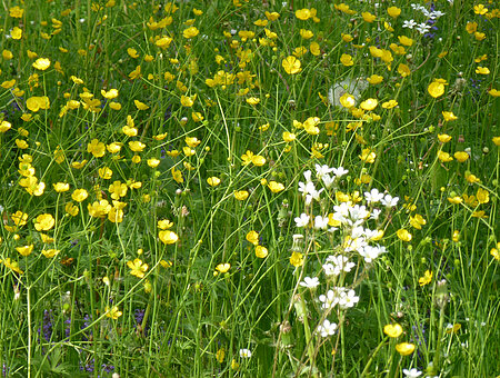 Im Kreislehrgarten Weißenburg