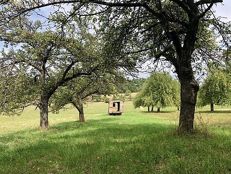 Streuobstwiese mit Holzwagen