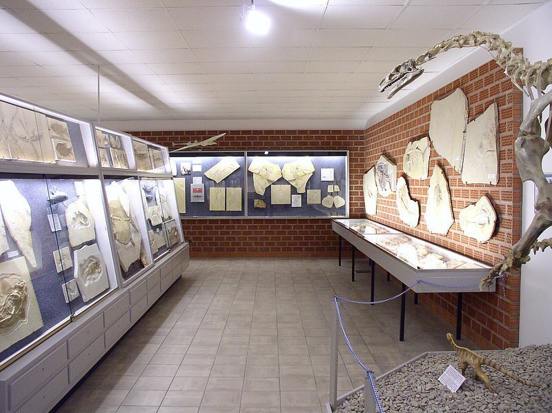 Ausstellungstraum Fossilien- und Steindruck-Museum