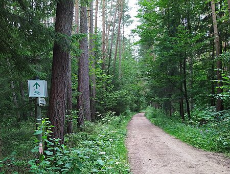 Radschild