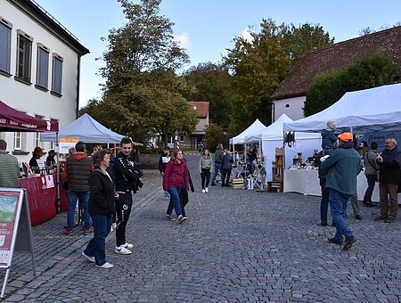 Streuobsttag 2024