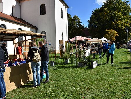 Streuobsttag 2024